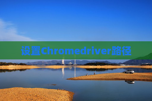 设置Chromedriver路径